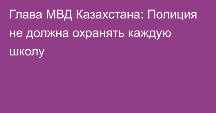 Глава МВД Казахстана: Полиция не должна охранять каждую школу