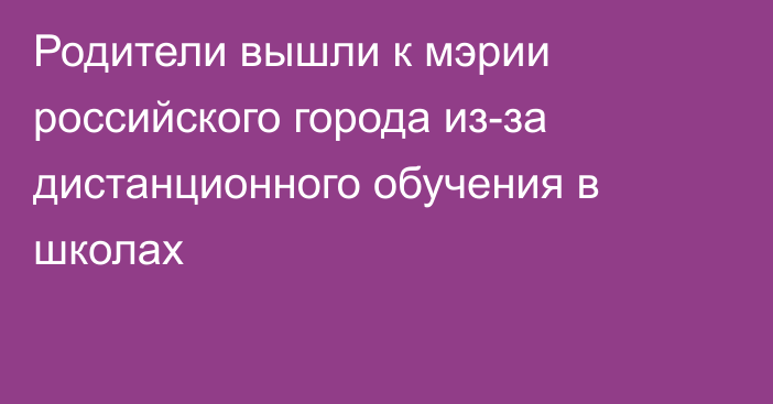 Родители вышли к мэрии российского города из-за дистанционного обучения в школах