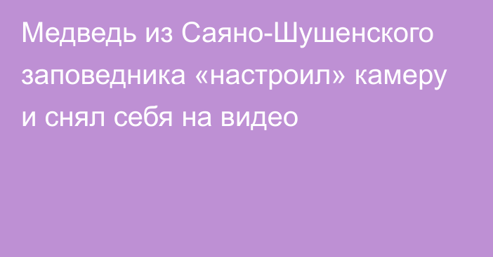 Медведь из Саяно-Шушенского заповедника «настроил» камеру и снял себя на видео