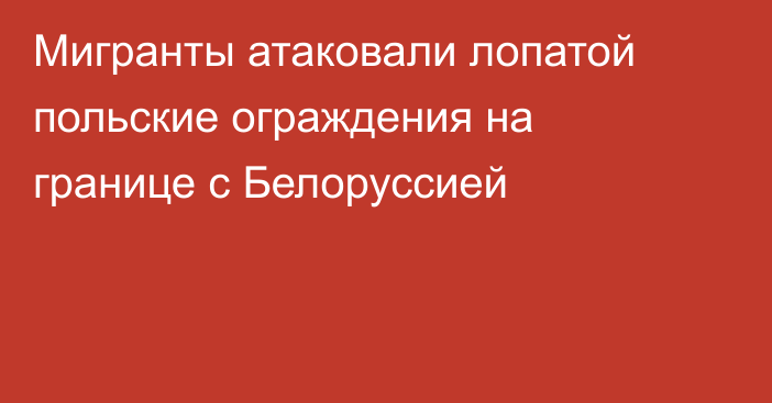 Мигранты атаковали лопатой польские ограждения на границе с Белоруссией