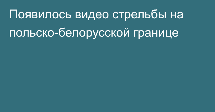 Появилось видео стрельбы на польско-белорусской границе