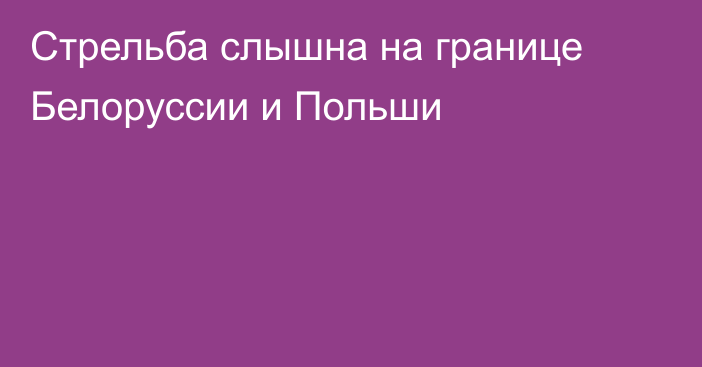 Стрельба слышна на границе Белоруссии и Польши