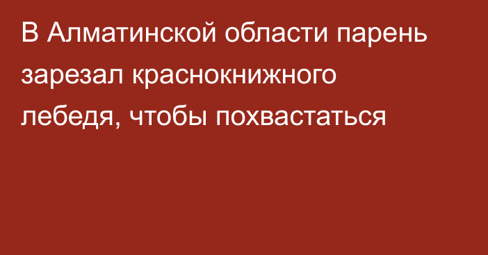 В Алматинской области парень зарезал краснокнижного лебедя, чтобы похвастаться