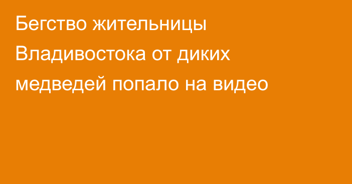 Бегство жительницы Владивостока от диких медведей попало на видео