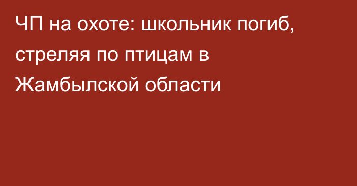 ЧП на охоте: школьник погиб, стреляя по птицам в Жамбылской области