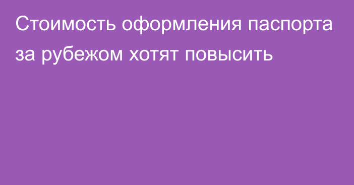 Стоимость оформления паспорта  за рубежом хотят повысить