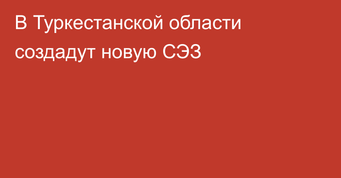 В Туркестанской области создадут  новую СЭЗ