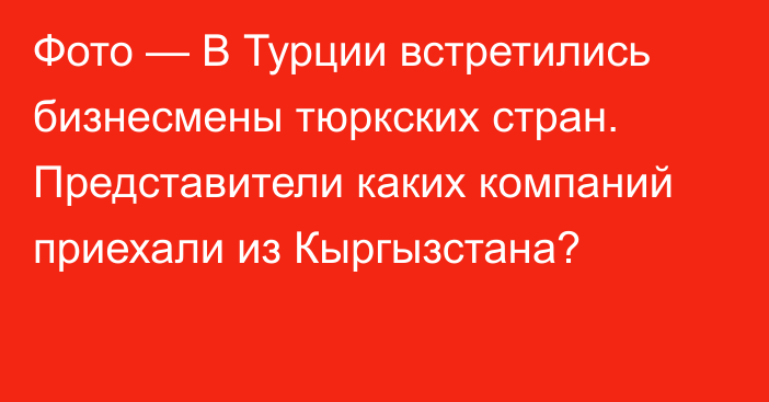 Фото — В Турции встретились бизнесмены тюркских стран. Представители каких компаний приехали из Кыргызстана?