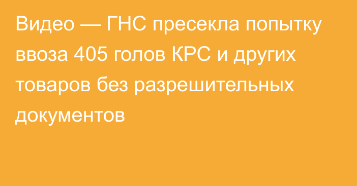 Видео — ГНС пресекла попытку ввоза 405 голов КРС и других товаров без разрешительных документов