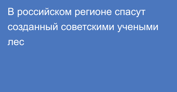 В российском регионе спасут созданный советскими учеными лес