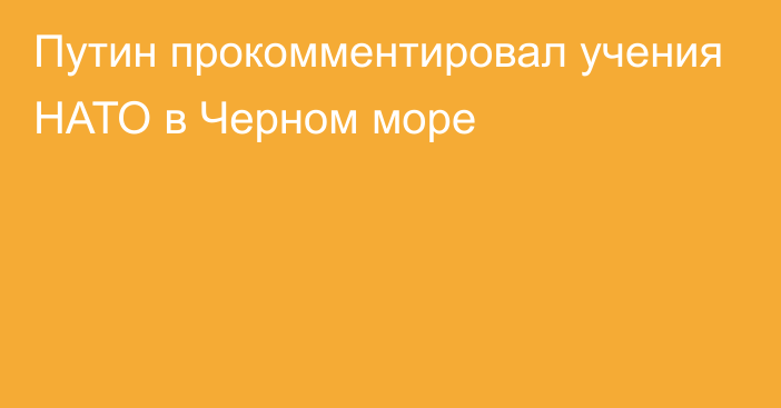 Путин прокомментировал учения НАТО в Черном море