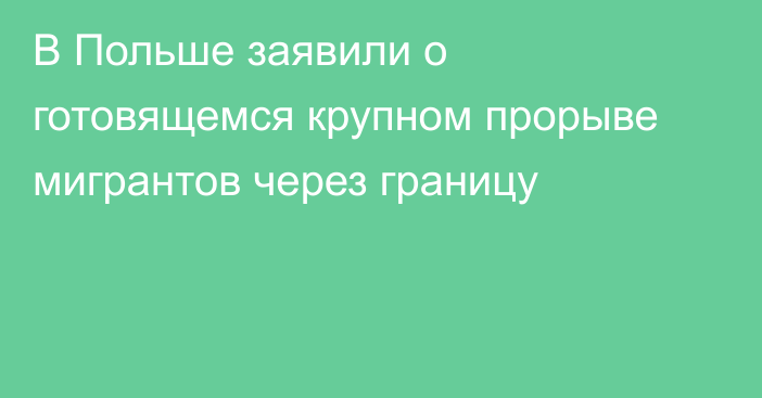 В Польше заявили о готовящемся крупном прорыве мигрантов через границу