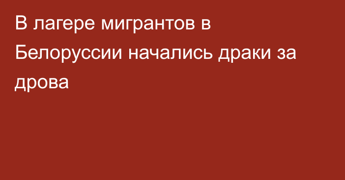 В лагере мигрантов в Белоруссии начались драки за дрова