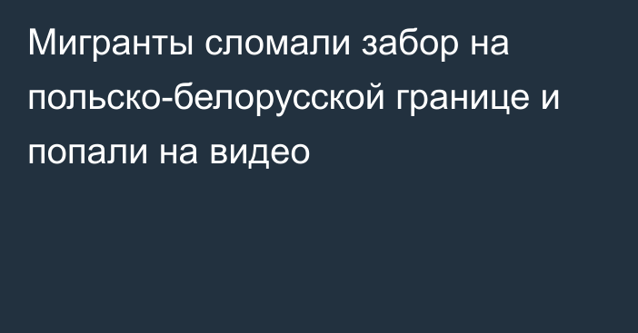 Мигранты сломали забор на польско-белорусской границе и попали на видео