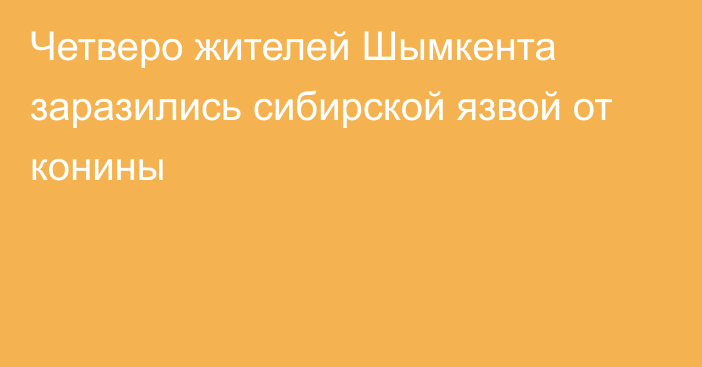 Четверо жителей Шымкента заразились сибирской язвой от конины