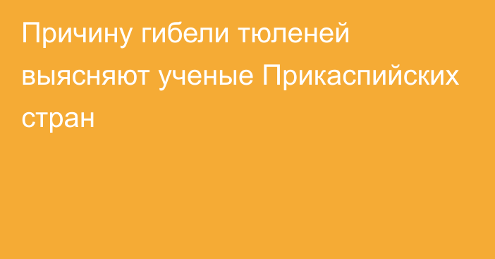 Причину гибели тюленей выясняют ученые Прикаспийских стран