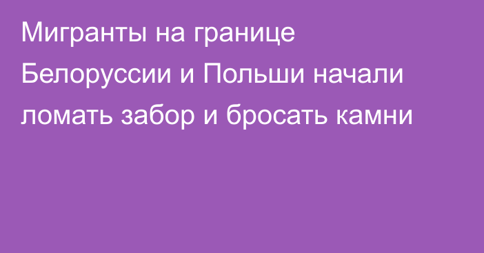 Мигранты на границе Белоруссии и Польши начали ломать забор и бросать камни