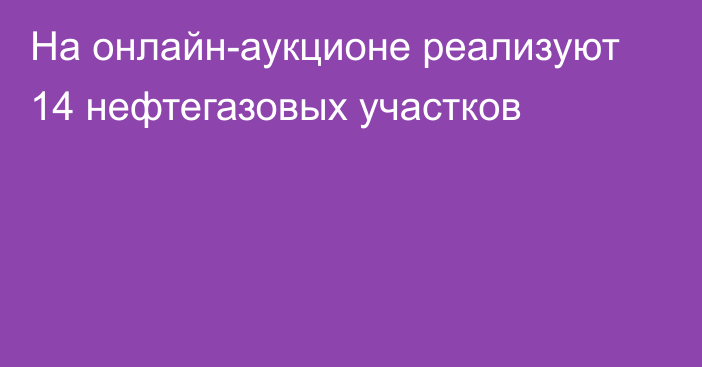 На онлайн-аукционе реализуют 14 нефтегазовых участков