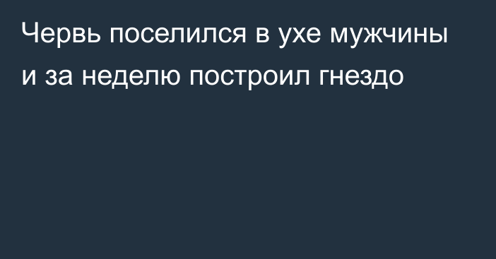 Червь поселился в ухе мужчины и за неделю построил гнездо