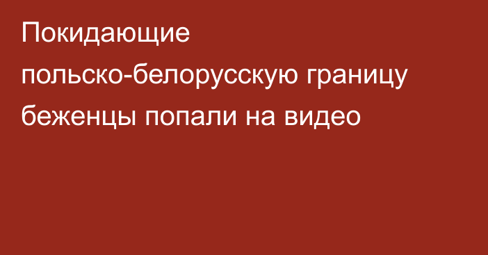 Покидающие польско-белорусскую границу беженцы попали на видео