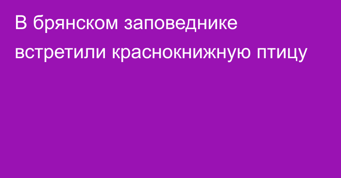 В брянском заповеднике встретили краснокнижную птицу