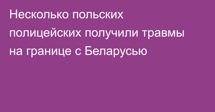 Несколько польских полицейских получили травмы на границе с Беларусью