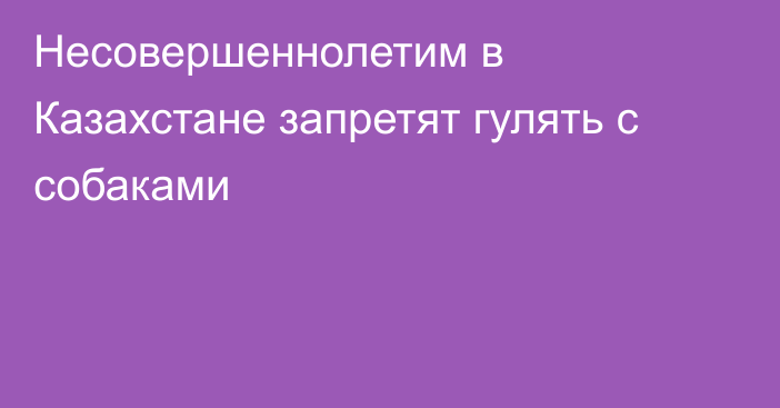 Несовершеннолетим в Казахстане запретят гулять с собаками