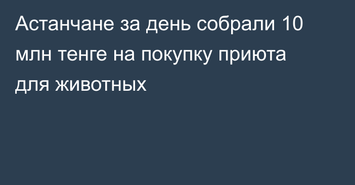 Астанчане за день собрали 10 млн тенге на покупку приюта для животных