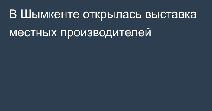 В Шымкенте открылась выставка местных производителей