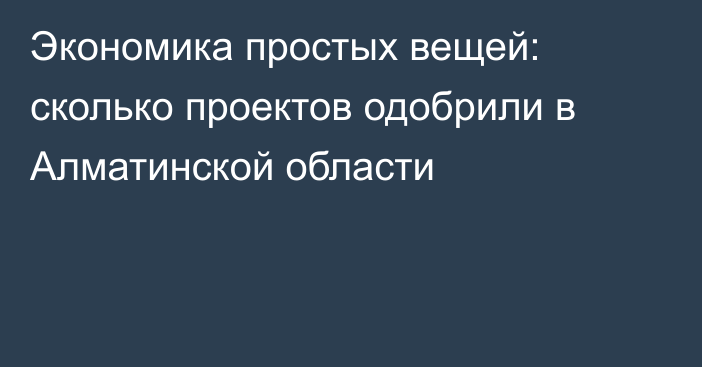 Экономика простых вещей: сколько проектов одобрили в Алматинской области