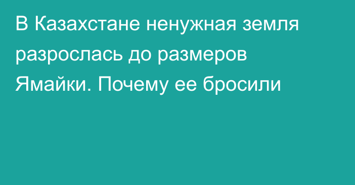 В Казахстане ненужная земля разрослась до размеров Ямайки. Почему ее бросили