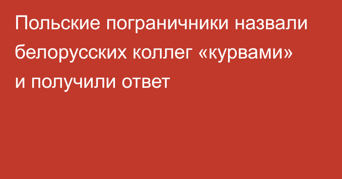 Польские пограничники назвали белорусских коллег «курвами» и получили ответ