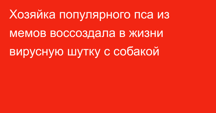 Хозяйка популярного пса из мемов воссоздала в жизни вирусную шутку с собакой