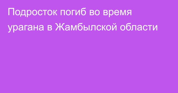 Подросток погиб во время урагана в Жамбылской области