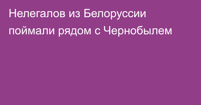 Нелегалов из Белоруссии поймали рядом с Чернобылем