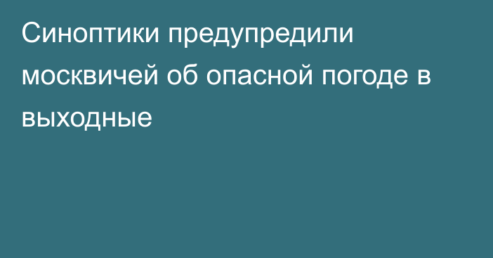 Синоптики предупредили москвичей об опасной погоде в выходные