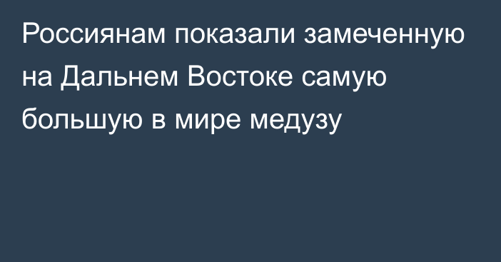 Россиянам показали замеченную на Дальнем Востоке самую большую в мире медузу