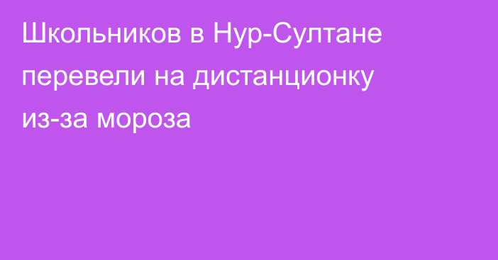 Школьников в Нур-Султане перевели на дистанционку из-за мороза