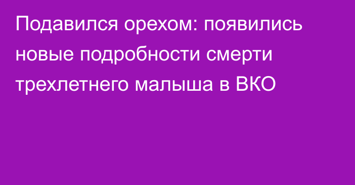 Подавился орехом: появились новые подробности смерти трехлетнего малыша в ВКО