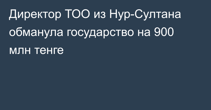 Директор ТОО из Нур-Султана обманула государство на 900 млн тенге