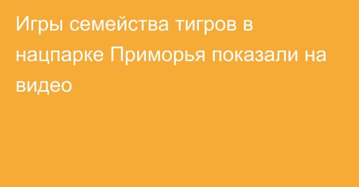 Игры семейства тигров в нацпарке Приморья показали на видео