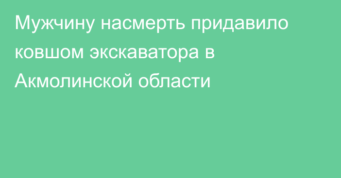 Мужчину насмерть придавило ковшом экскаватора в Акмолинской области