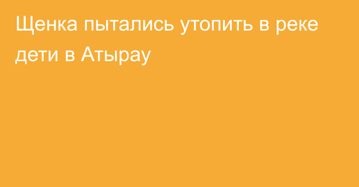 Щенка пытались утопить в реке дети в Атырау