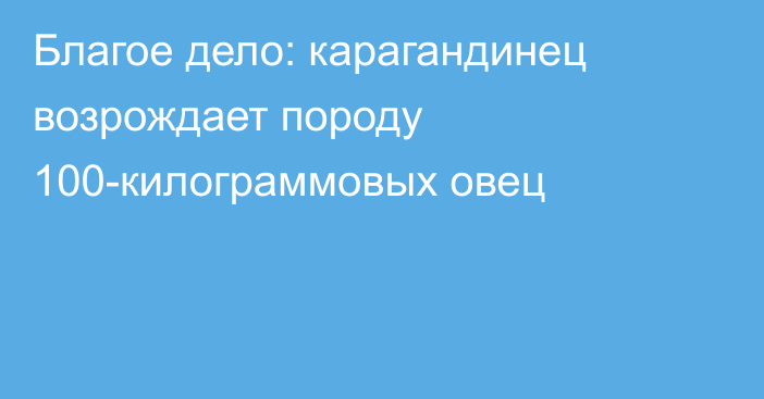 Благое дело: карагандинец возрождает породу 100-килограммовых овец