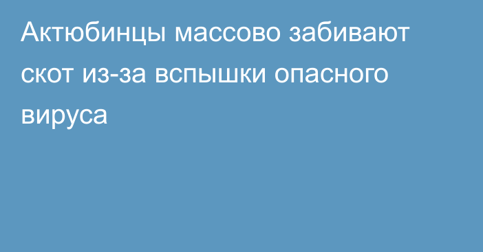 Актюбинцы массово забивают скот из-за вспышки опасного вируса