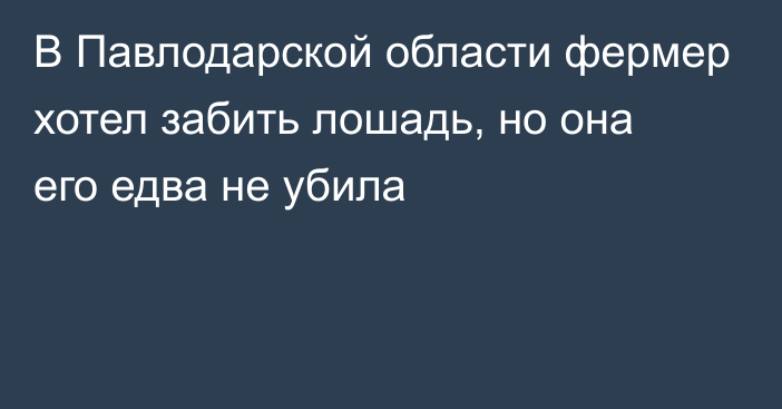 В Павлодарской области фермер хотел забить лошадь, но она его едва не убила