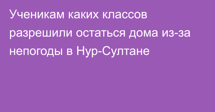 Ученикам каких классов разрешили остаться дома из-за непогоды в Нур-Султане