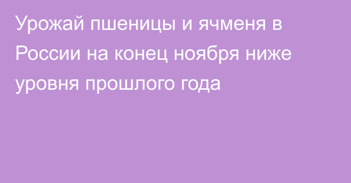 Урожай пшеницы и ячменя в России на конец ноября ниже уровня прошлого года