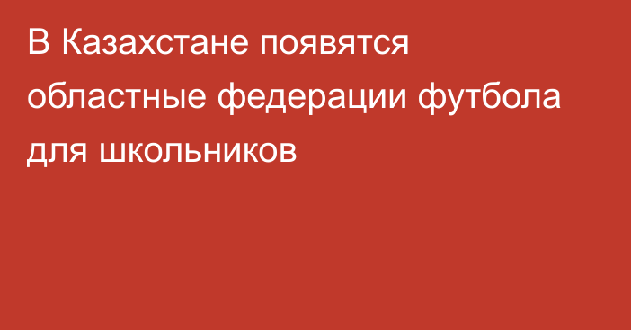 В Казахстане появятся областные федерации футбола для школьников