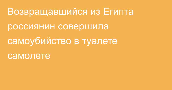 Возвращавшийся из Египта россиянин совершила самоубийство в туалете самолете